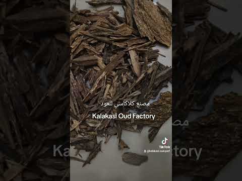 عود طبيعي 100 كمبودي سيوفي سيلاني ترنجانو مصنع للعود كلاكاسي للعود ودهن العود والعطور ماليزيا