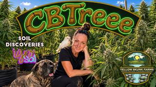 Yellow Skunk Farm Soil Discoveries with iGro Soil — Episode 18: CBTreee