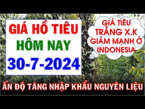 Giá hồ tiêu
