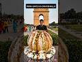 India Gate ka dahi bhalla 🤩 wowoodworkingod toy - art / hand craft /skills