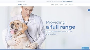 Vet Responsive Website Template by WT - 57678