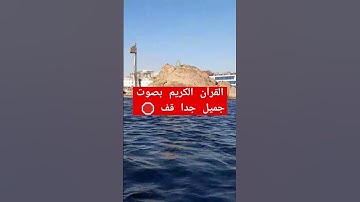 القرآن الكريم #quran #القرآن_الكريم #الجزائر #تلاوة #المغرب #السعودية #القرآن #محمد_الفقيه #اكسبلور