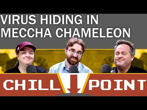 Hide Party || ChillPoint (Aug 1, 2026)