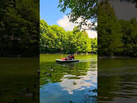утки, озеро, катамаран в Центральном парке отдыха г.Алматы #walkingtour