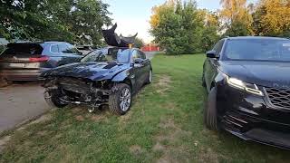 видео: Range Rover 2019 Оживление с помощью Ягуар  картинка: Range Rover 2019 Оживление с помощью Ягуар