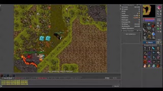 [Tibia] Test Server Winter Update 2017 - Boss New Warzone Net Worth
