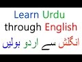 Learn urdu language for beginners through english  speak urdu through english