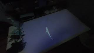 Vr180 Portalgraphで卓上サメ水槽