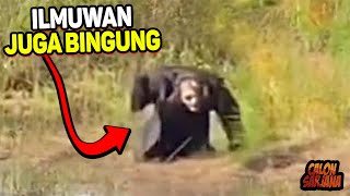 Walaupun Direkam Masih Banyak yang Nggak Percaya, Penampakan Makhluk Aneh ini yang Jadi Viral