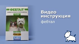 Фебтал - видео инструкция. Фебтал - видео инструкция.