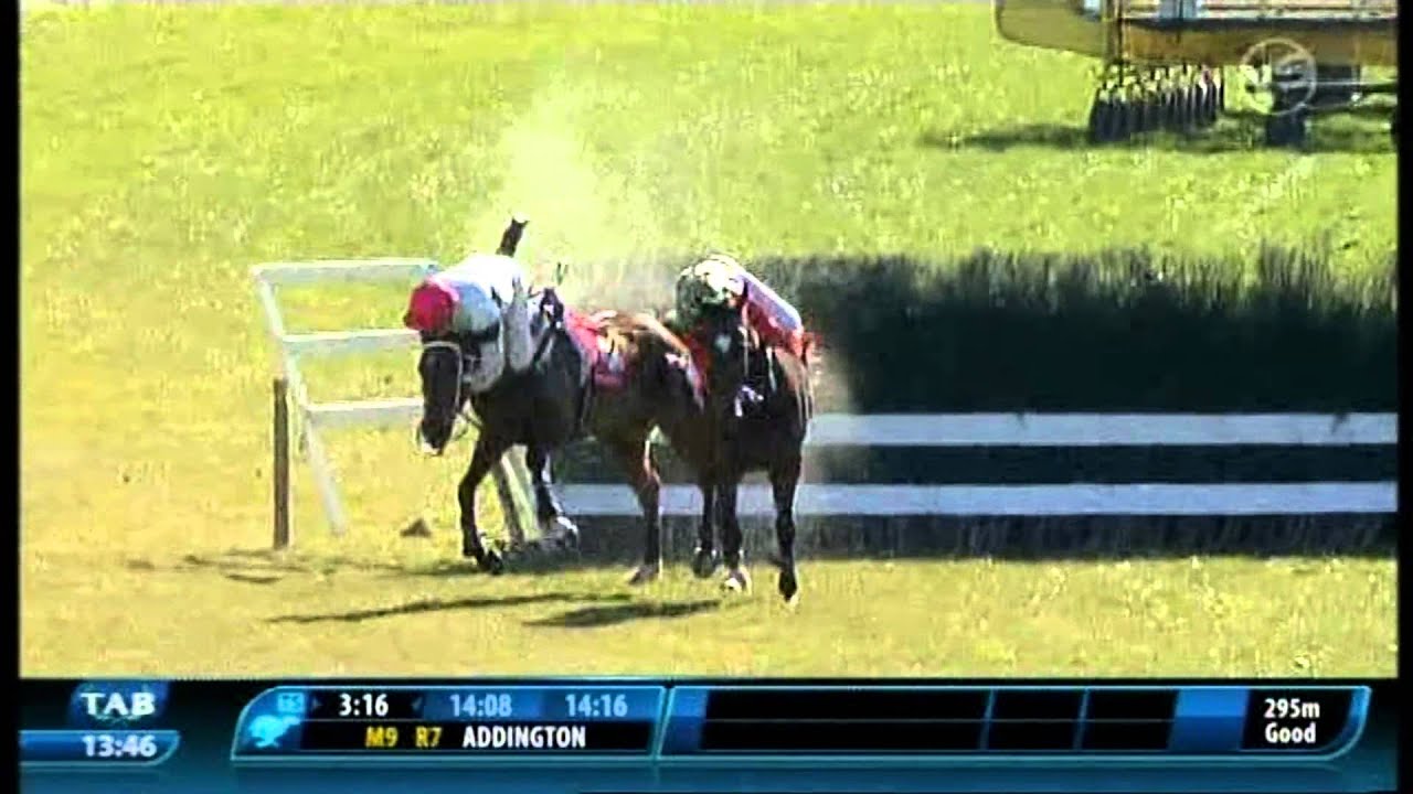 How to win a horse race... YouTube