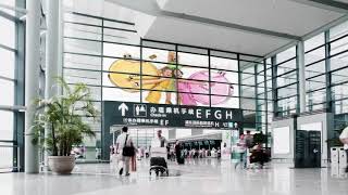 Airport Terminal - LCG Vizio Projection