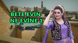 salih  feleknaz dilovan bete evin ne evine1