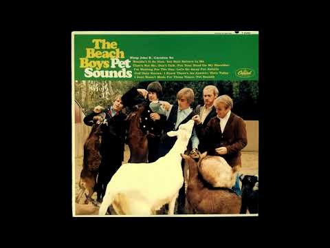 The Beach Boys - Wouldn't It Be Nice (mono)