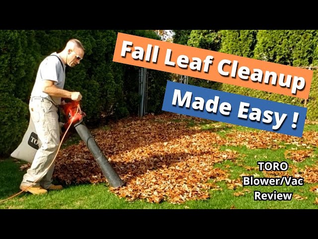 8 Best Leaf Vacuums for 2023 - Leaf Vacuum Reviews