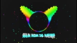 INDIA - DIL NA DIYA - GIORGINO ARLIN ( MUSIK REMIX )