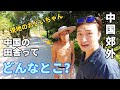 【中国プチ旅】田舎がすごかった