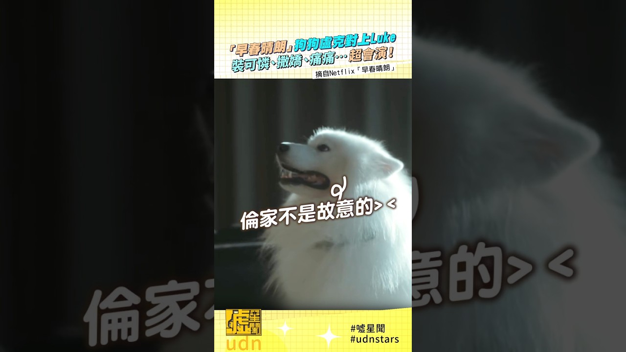 「早春晴朗」狗狗盧克對上Luke 裝可憐、撒嬌、痛痛…超會演! 縮圖