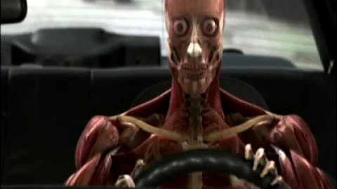 Human Body  Pushing the Limits preview