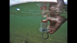 Taking our ocean's pulse: Underwater Backscattering Networking