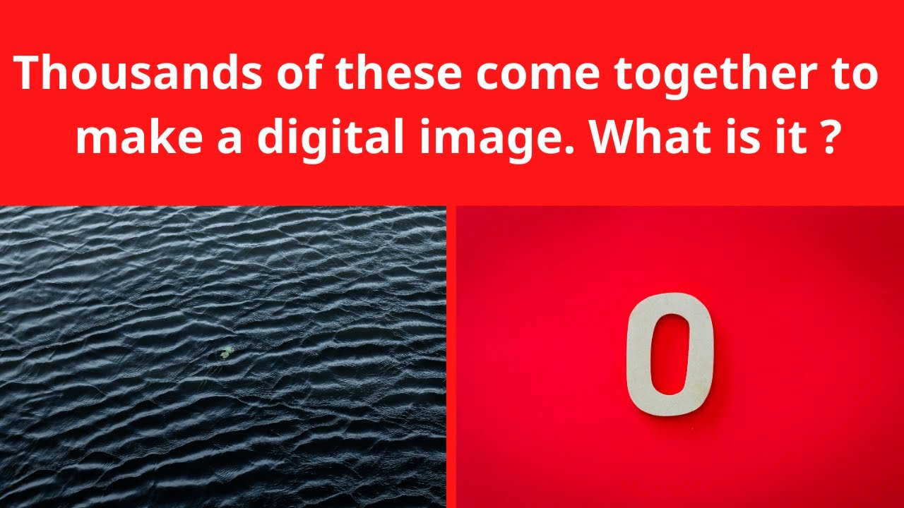 Riddles22 What goes in the water black and comes out red? YouTube