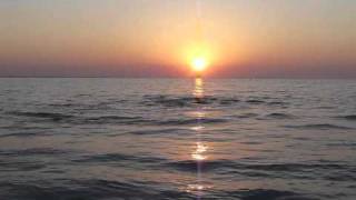 Splish Splash Sanibel Dolphins Having A Blast.m4v