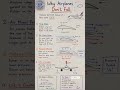✈️ Why Airplanes Don’t Fall 🤯