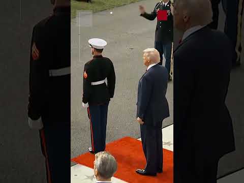 ترامب يستقبل ولي العهد السعودي الأمير محمد بن سلمان لدى وصوله البيت الأبيض