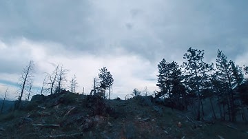 EMAX TinyHawk II Freestyle & Insta360 Go First Flight