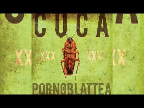 3. Cuca - Doña Olga (Audio Oficial)