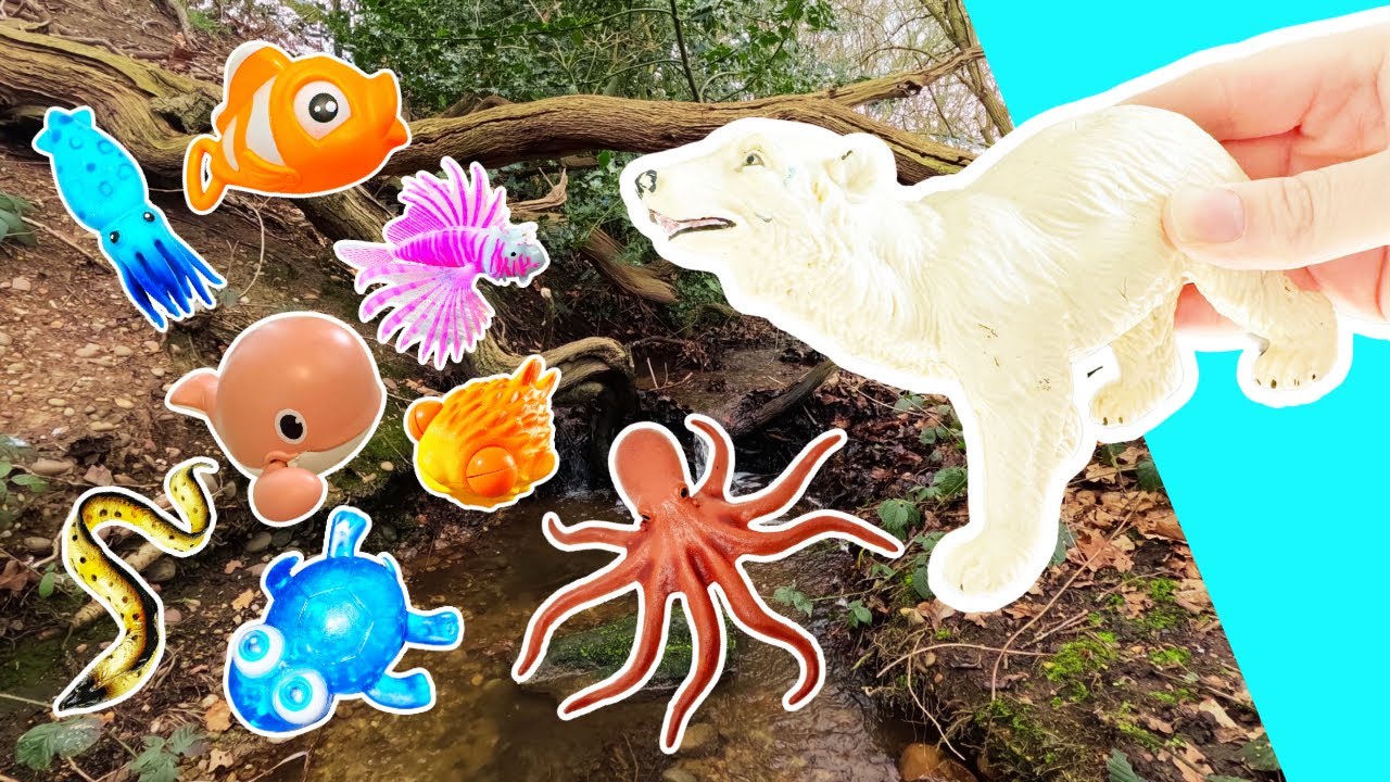 Learn Sea Animal Names at the Waterfall for Babies Toddlers Kids ...