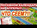 ЧТО ПОСЕЯТЬ В АПРЕЛЕ В САДУ И НА ОГОРОДЕ? ПОСЕВНОЙ КАЛЕНДАРЬ