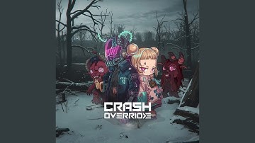 Crash Override