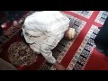 فيديو الرجل الذي توفي  وهو ساجد في المسجد  بمدينة آسفي