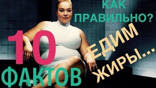 10 ФАКТОВ о употреблении ЖИРОВ. ВНИМАНИЕ!!! в видео присутствует ненормативная лексика! 10 ФАКТОВ о употреблении ЖИРОВ. ВНИМАНИЕ!!! в видео присутствует ненормативная лексика!