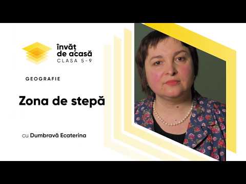 Video: Valuri în Stepă