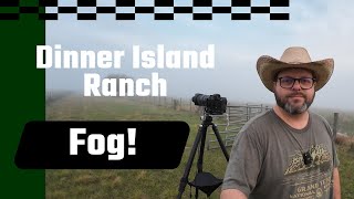 Dinner Island Ranch In The Fog
