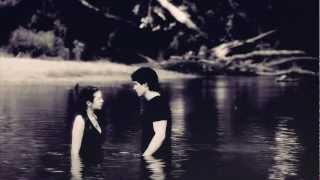 Damon&Elena || A Drop In The Ocean.avi
