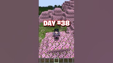 Day 38: Building a Minecraft House One Block a Day