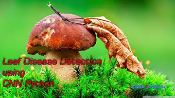 Leaf Disease Detection using CNN Python