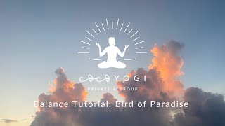Yoga Pose Tutorial: Bird of Paradise