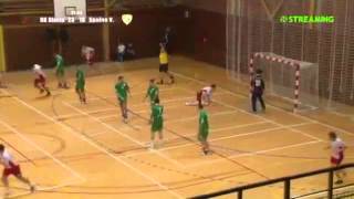 Filip Nikić Handball 21