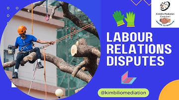 Labour Relations Disputes
