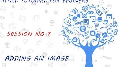 HTML Tutorial for Beginners   07   Adding an image to a web page