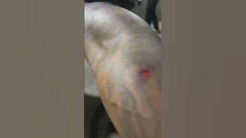 Thumbnail of Dababy Fights His Giant Security Guard & Knocks 🥊 Him Out