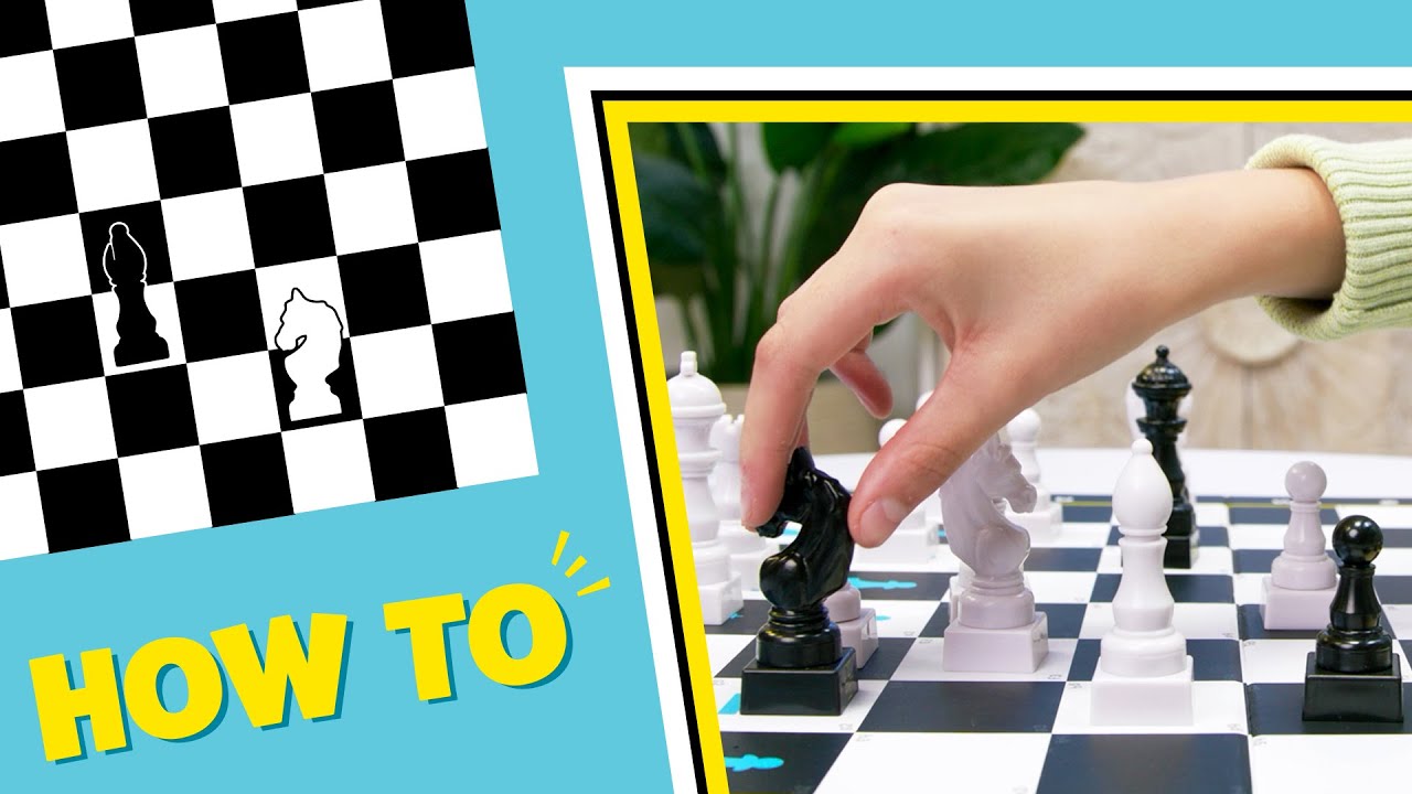 How to Play Chess Made Simple, Spin Master Games