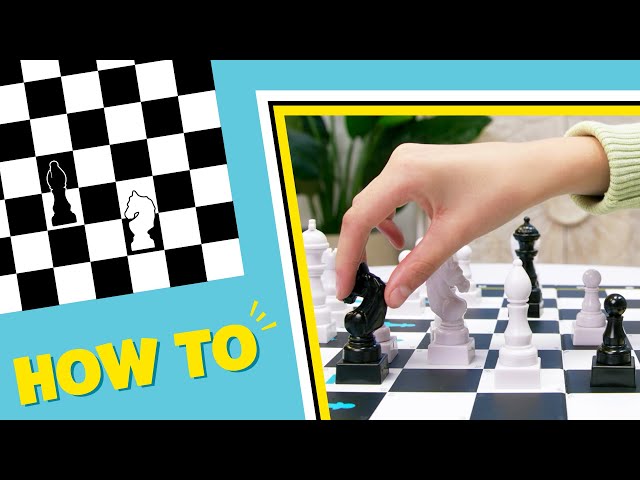 How to Play Chess Made Simple, Spin Master Games