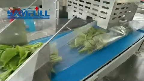 Full servo leafy vegetable flow wrapping machine, hffs horizontal flow wrap machine