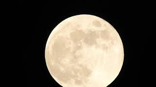 Hunters moon and Jupiter 2023