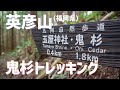 【日帰り登山】英彦山の鬼杉は想像を遥かに越える迫力のパワースポットでしたよ！　2023.09.02